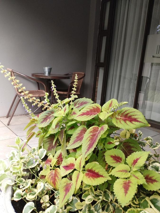 Ditsaleng Bed And Breakfast Vanderbijlpark Extérieur photo